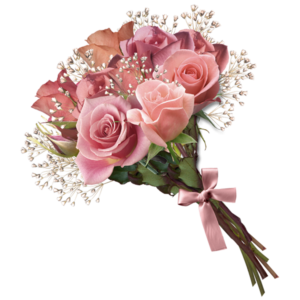image clipping path
