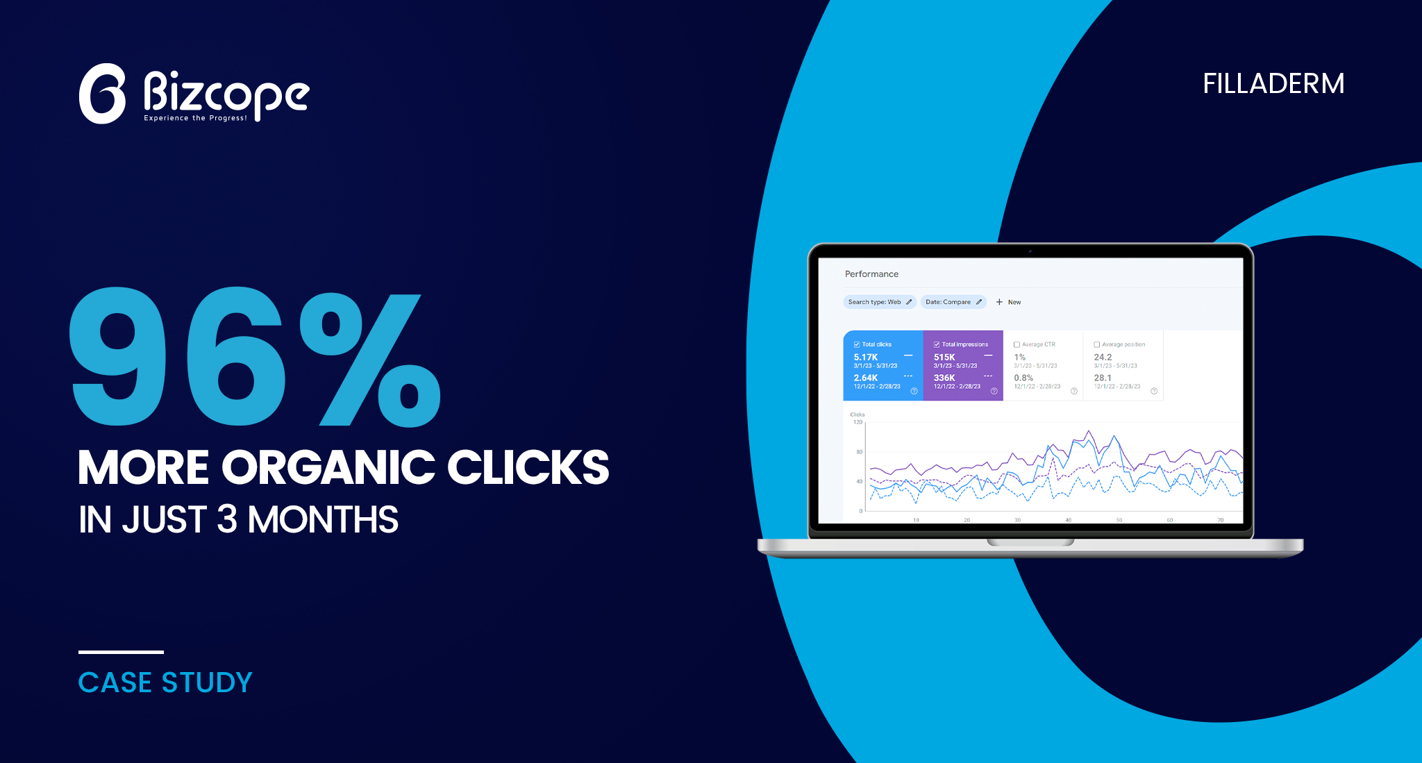 filladerm SEO case study